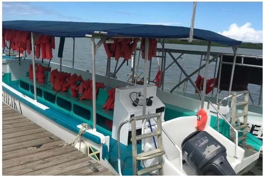 Luminous lagoon : Night Tour from Ocho Rios and Runaway Bay - Cancellation and Booking Flexibility