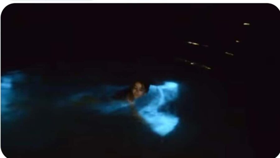 Luminous lagoon : Night Tour from Ocho Rios and Runaway Bay - Arriving at Falmouth Mystic Lagoon Tours