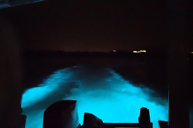 Luminous lagoon Night Tour Montego Bay - Swimming in the glowing water