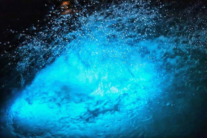 Luminous lagoon Night Tour Montego Bay - What $75 really covers