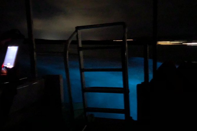 Luminous Lagoon Private Tour - Who will get the most from this outing