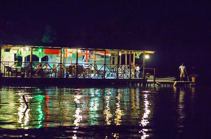 Luminous Lagoon Sightseeing Tour in Montego Bay - What the glowing water is really like