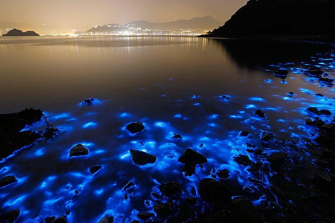 Luminous Lagoon Small Group Tour from Ocho Rios - Key points to know before you book