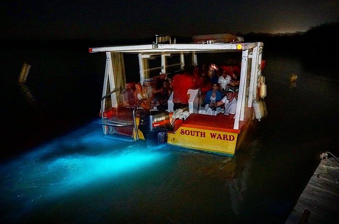 Luminous Lagoon Small Group Tour from Ocho Rios - Swimming in warm phosphorescent water