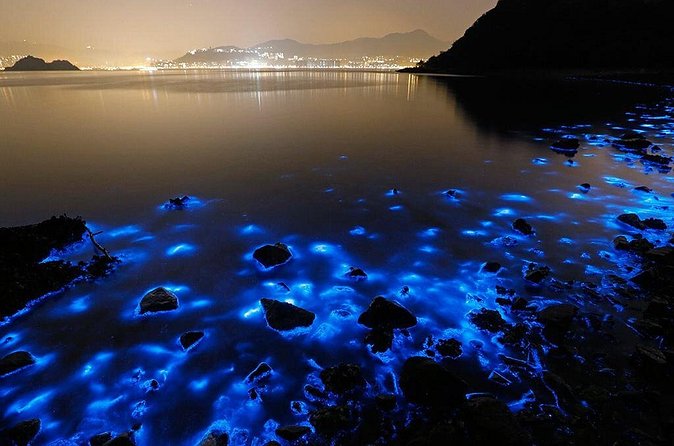 Luminous Lagoon Small Group Tour from Ocho Rios - Is $140 per person a fair price?