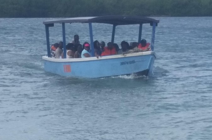 Luminous Lagoon Tour from Montego Bay & Rosehall Hotels - Swimming or staying aboard