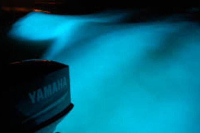 Magical Luminous Lagoon Private Tour - Who Will Enjoy This Evening Most