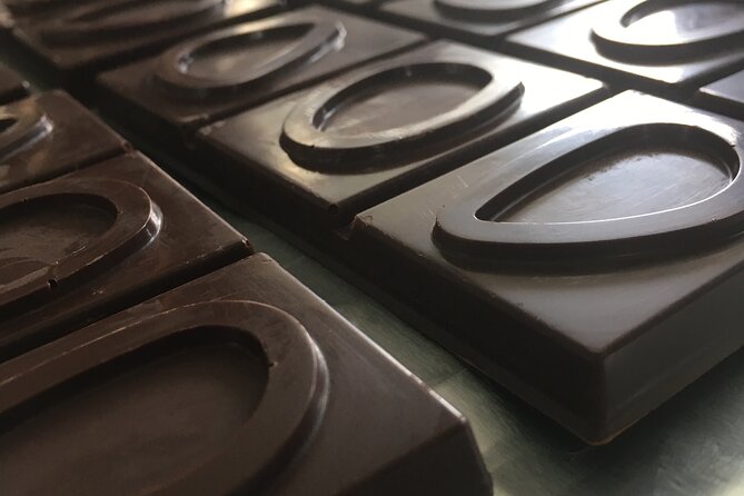 Make your own Bean to Bar Chocolate Factory Tour - The cocoa pod gives the lesson a proper beginning