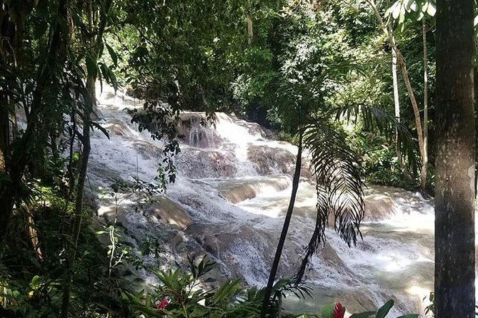 Martha Brae and Dunn’s River Falls Day Tour - The personal service factor