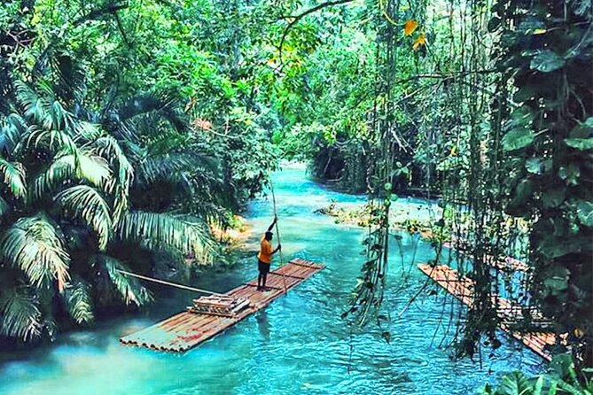 Martha Brae Rafting Experience w/Jerk Chicken Lunch, Montego Bay - Flora, fauna, rocks, and river folklore