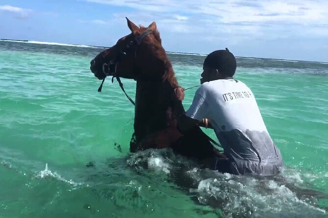 Martha Brae Rafting, Horseback Riding and Luminous Lagoon - Triple Treat - Key points at a glance