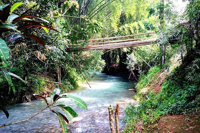 Mayfield Falls, Blue Hole & Rick's Café Tours/Weed Farm option - Three Jamaican sights, one wet and busy day