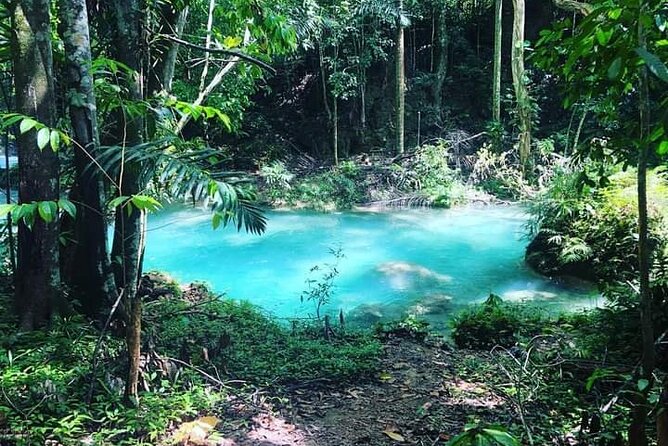 Mayfield Falls, Blue Hole & Rick's Café Tours/Weed Farm option - What the $190 price really covers