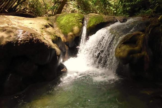 Mayfield Falls nature walk - Key points to know before you book