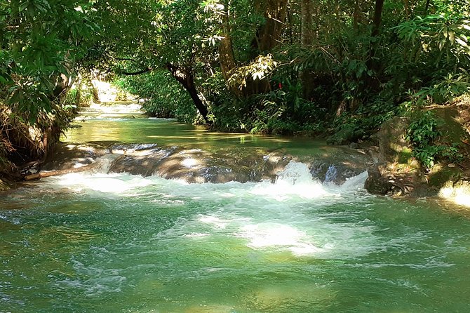 Mayfield Falls nature walk - A river walk instead of a standard waterfall stop