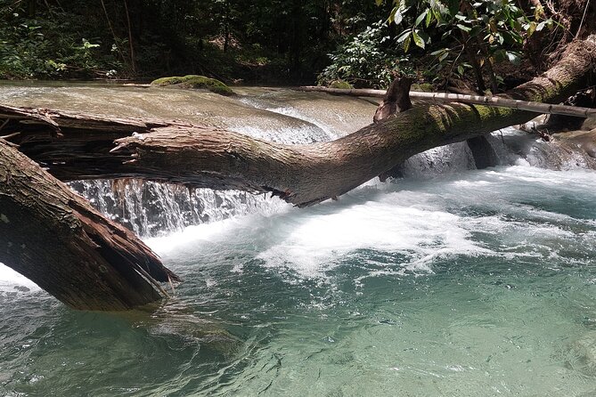 Mayfield Falls nature walk - Why the private format matters