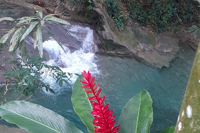 Mayfield Falls nature walk - Who will enjoy this outing most