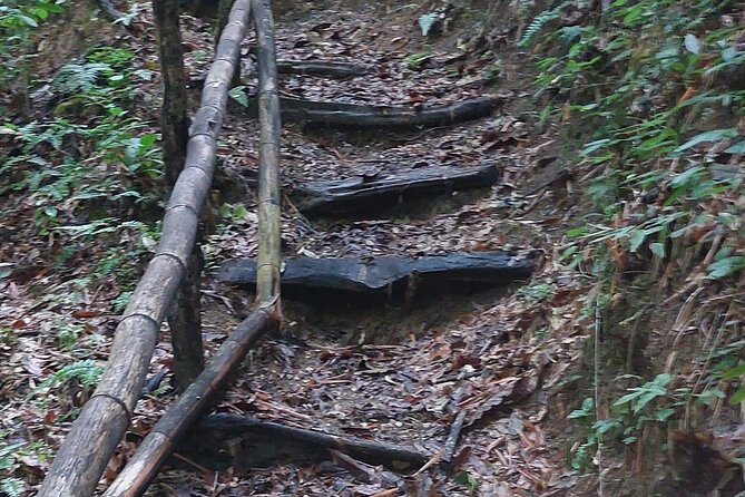 Mayfield Falls nature walk - Booking timing and cancellation