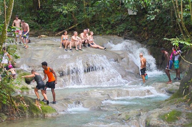 Mayfield Falls Private Tour - Local food at an extra cost