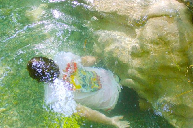 Mayfield Falls Private Tour - What the guides add to the experience