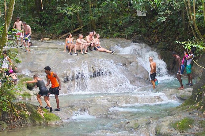 Mayfield Falls Tour with Lunch, drink, Entry & Transp(Original) - Key points to know before you go
