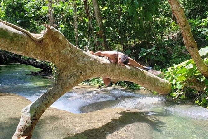 Mayfield Falls Tour with Lunch, drink, Entry & Transp(Original) - Five waterfalls, caves, pools, and limestone