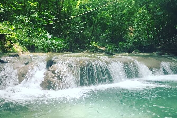 Mayfield Falls Tour with Lunch, drink, Entry & Transp(Original) - What the four to five hours look like