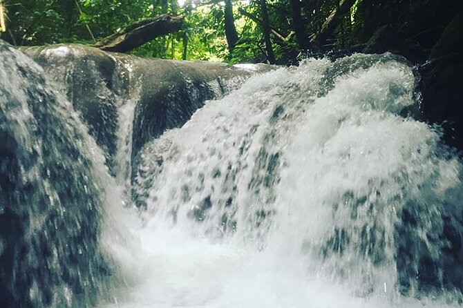 Mayfield Falls Tour with Lunch, drink, Entry & Transp(Original) - How difficult is the river walk?
