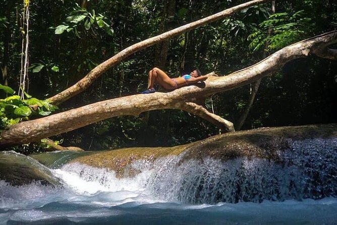 Mayfield Falls Tour with Lunch, drink, Entry & Transp(Original) - Price, timing, and cancellation details