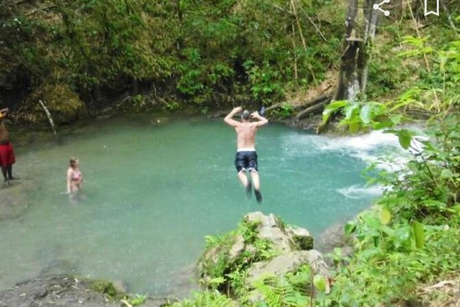 Mayfield Falls Tour with Lunch, drink, Entry & Transp(Original) - Guides who turn a slippery walk into a good one