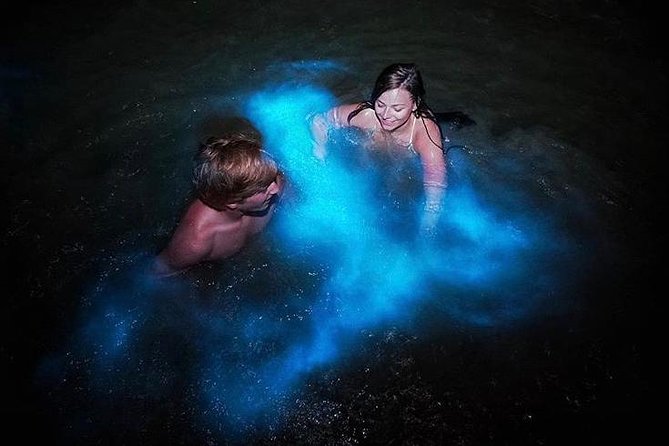Mesmerizing Luminous Lagoon (Glistening Waters) Night Tour - Glistening Waters Restaurant and Marina