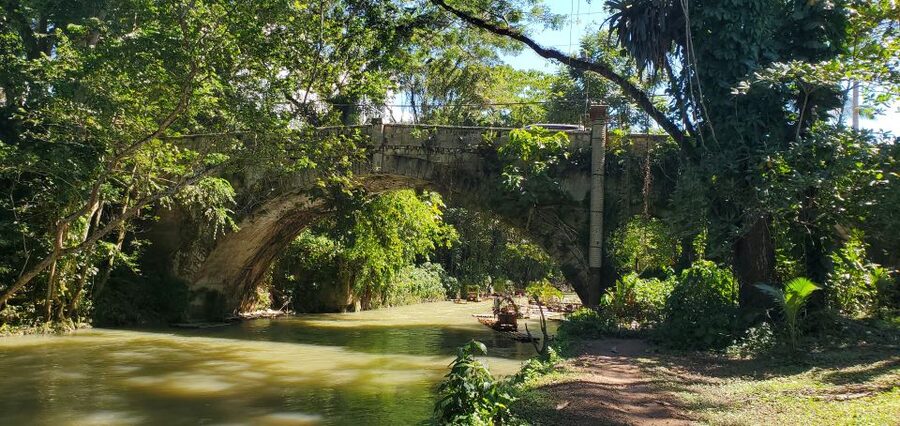 Montego Bay: Bamboo Raft Cruise on the Great River - Music, food, and floating raft shops