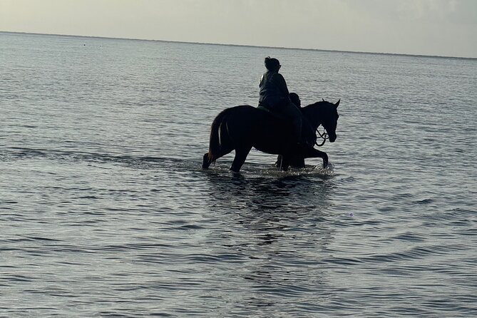 Montego Bay Beach Horseback Riding Tour - What the $80 price really covers