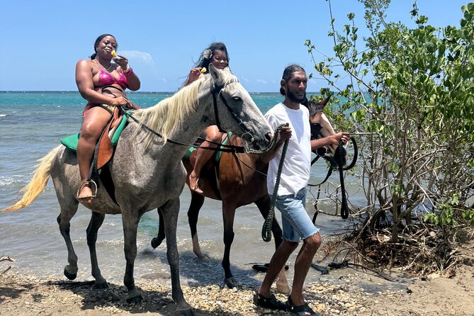 Montego Bay Beach Horseback Riding Tour - Rain, timing, and the relaxed pace