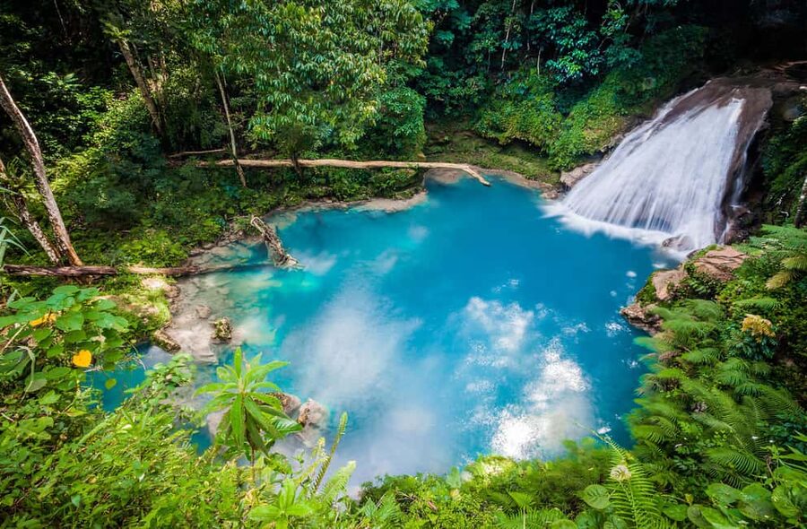 Montego Bay: Blue Hole, Dunn’s River, and Beach Club Trip - Dunn’s River Falls Turns Walking Into a Group Climb