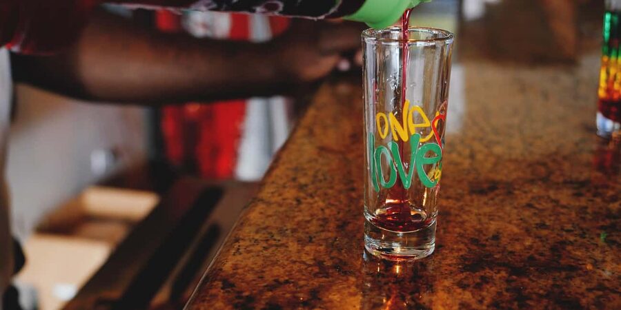 Montego Bay: Bob Marley Nine Miles Mausoleum Tour - What the $156 price includes
