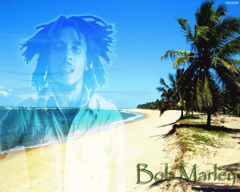 Montego Bay: Bob Marley Tour to 9 Mile, St. Ann - Key points before you book