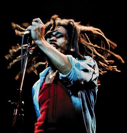 Montego Bay: Bob Marley Tour to 9 Mile, St. Ann - Practical booking advice for Montego Bay