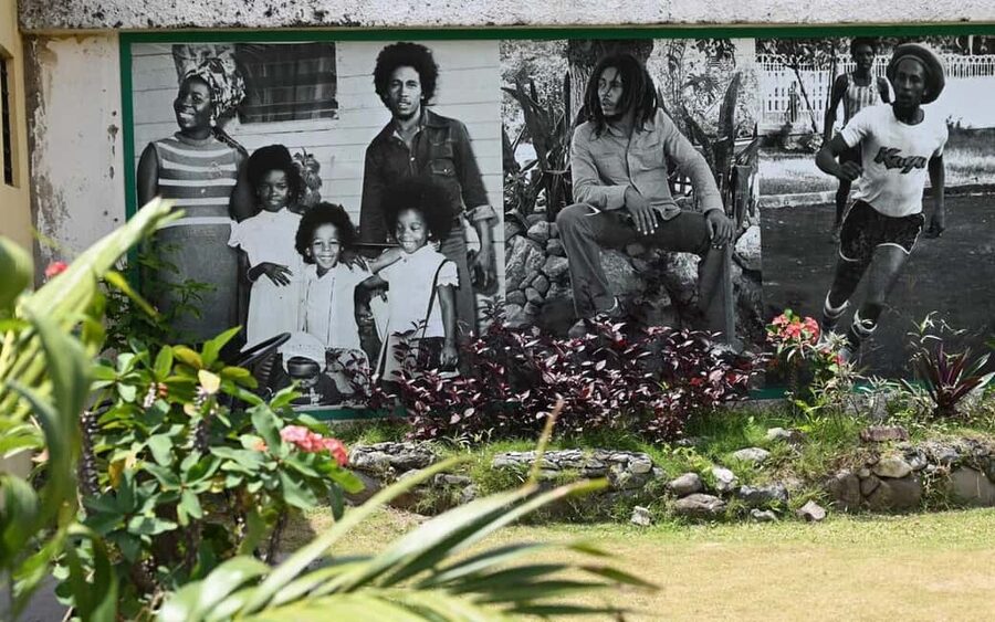 Montego Bay: Bob Marley Tour to 9 Mile, St. Ann - Who will enjoy this day most?