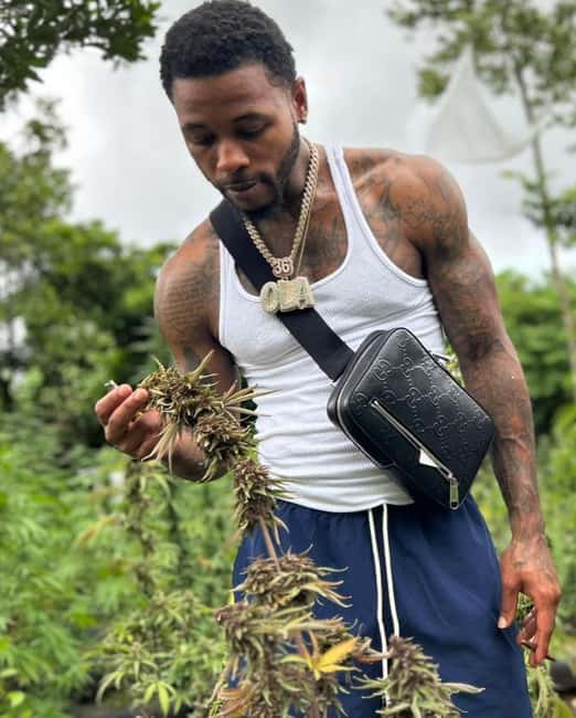 Montego Bay: Cannabis Farm, Bamboo Rafting, & Foot Massage - Warm limestone and a slower finish