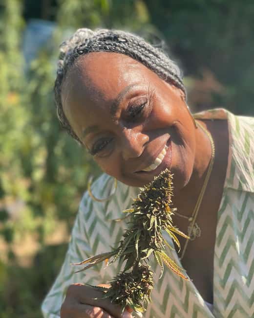 Montego Bay: Cannabis Farm, Bamboo Rafting, & Foot Massage - Is the $186 price fair?