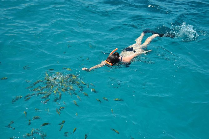 Montego Bay Catamaran Cruise and Snorkeling Tour from Falmouth - Snorkeling in the Caribbean Sea