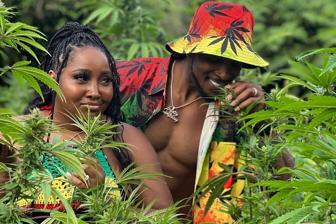 Montego Bay Exotic Herbs, Birds and Animals Interaction Tour - Key points to know before you go