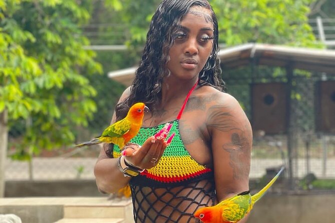 Montego Bay Exotic Herbs, Birds and Animals Interaction Tour - Why this Montego Bay tour feels different