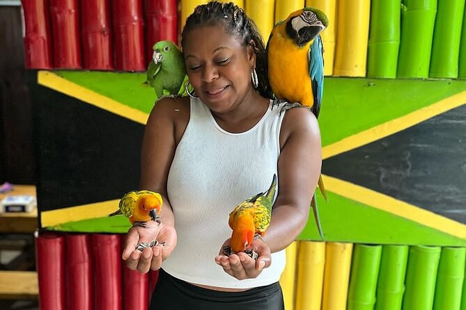 Montego Bay Exotic Herbs, Birds and Animals Interaction Tour - What the ride and timing mean for you