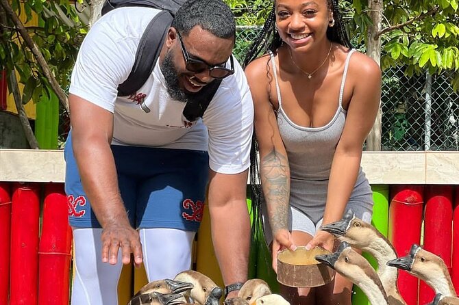 Montego Bay Exotic Herbs, Birds and Animals Interaction Tour - Rain is the one serious variable