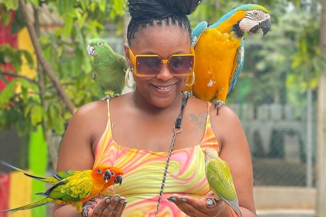 Montego Bay Exotic Herbs, Birds and Animals Interaction Tour - The herb and farm section