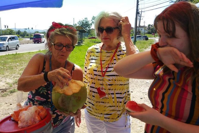 Montego Bay hi lite and culture tour - Timing, fitness, and practical planning