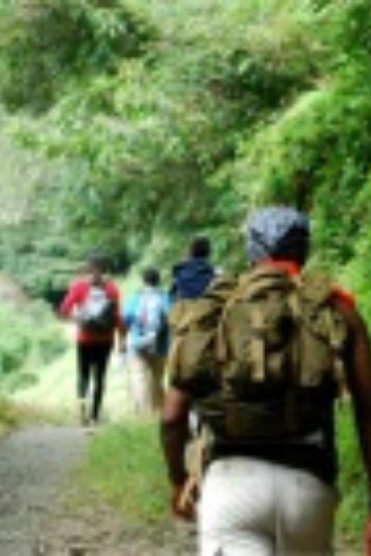 Montego bay Highlight Tour - Should you book the Montego Bay Highlight Tour?