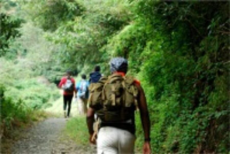 Montego bay Highlight Tour - Who will enjoy this Montego Bay outing